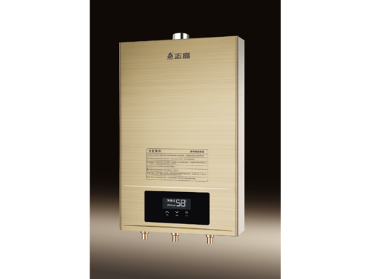 w88win优德w88win优德安全保护强排燃气热水器